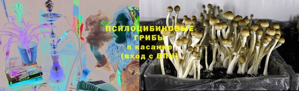 гашик Баксан