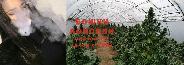 молекула духа Покровск