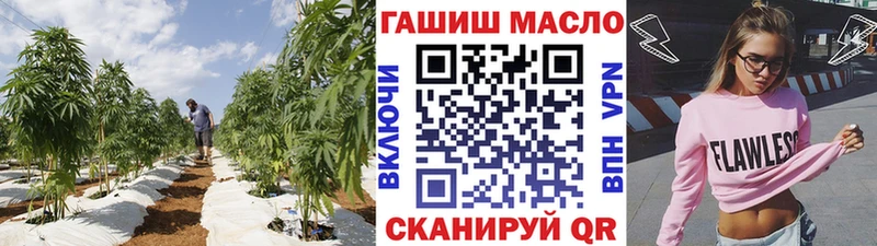 omg зеркало  сколько стоит  Пласт  ТГК THC oil 